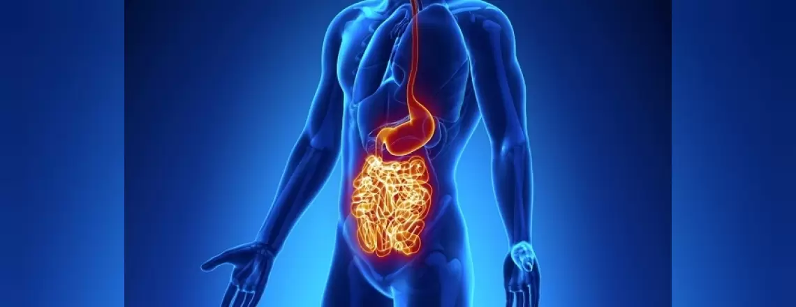 Crohn Hastalığı