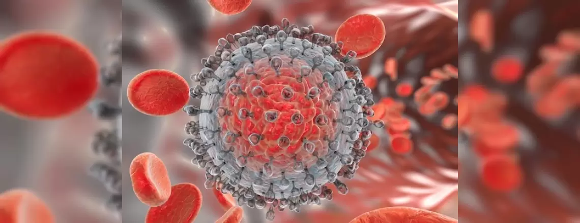 Hepatit B Enfeksiyonu