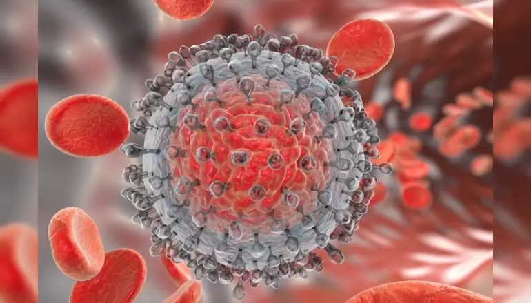 Hepatit B Enfeksiyonu