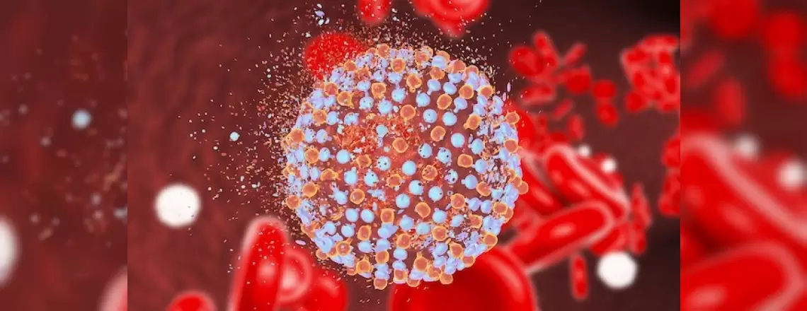 Hepatit C enfeksiyonu