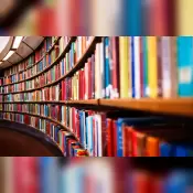 Uluslararası Hakemli Dergilerde Yayımlanan Makaleler