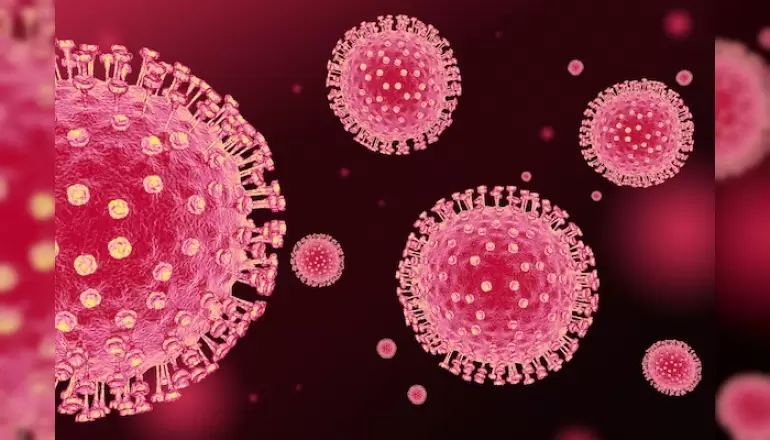 corona-virus-enfeksiyonundan-korunma-yontemleri