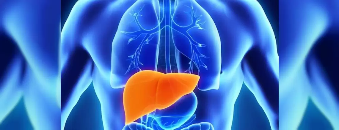 Hepatoselüler Kanser