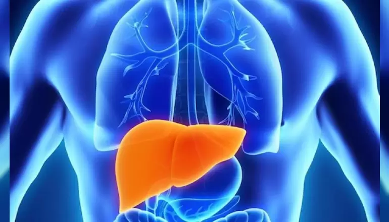 hepatoseluler-kanser