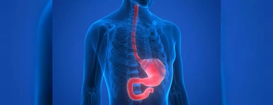 Özefagus Hastalıkları