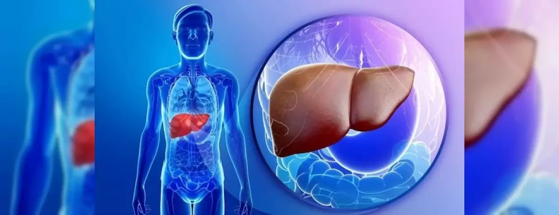 Primer Biliyer Siroz