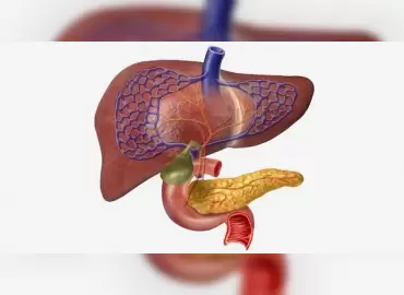 safra-kesesi-ve-pankreas-hastaliklari