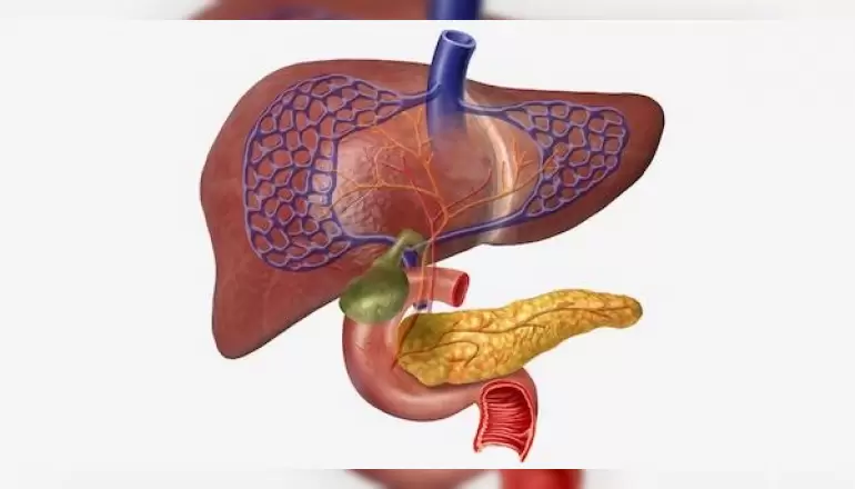 safra-kesesi-ve-pankreas-hastaliklari
