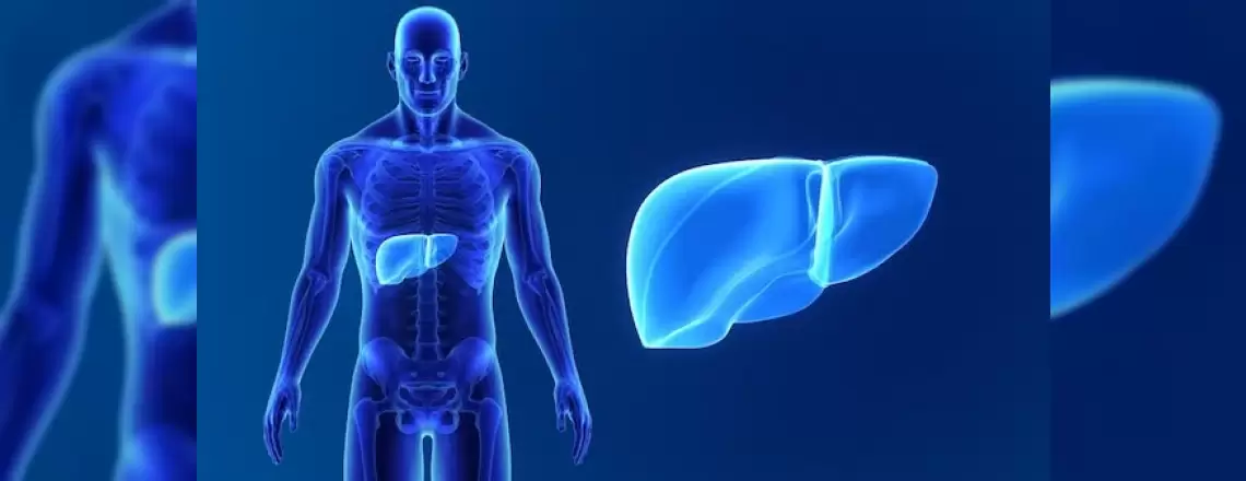 Siroz ve Karaciğer Kanseri