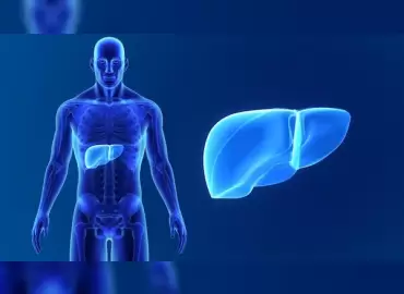 siroz-ve-karaciger-kanseri