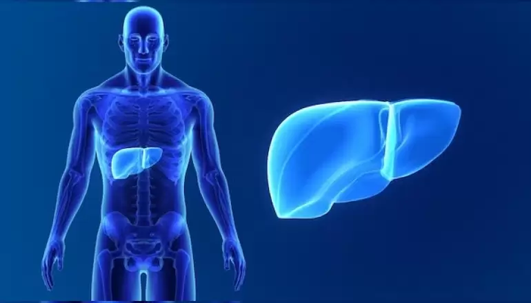 siroz-ve-karaciger-kanseri