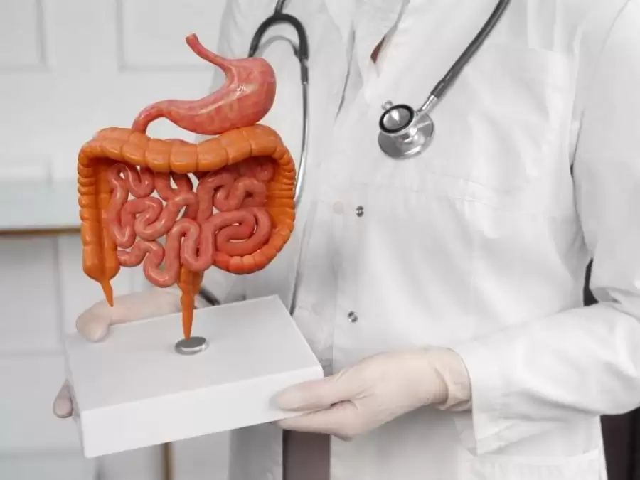 irritabl-barsak-hastaligi-spastik-kolon