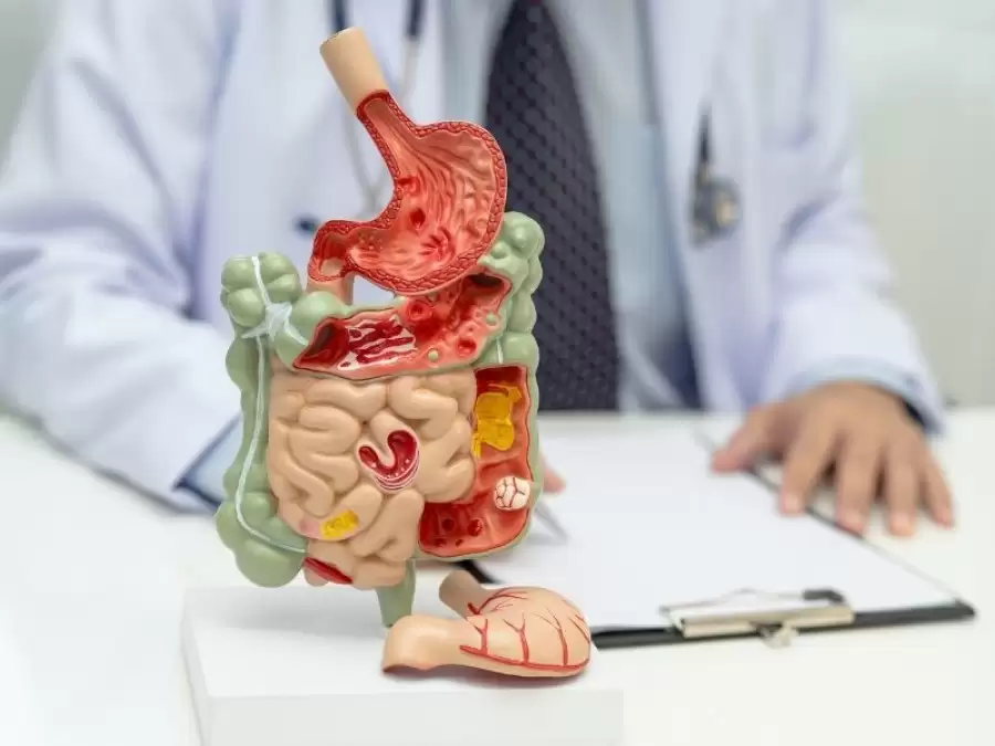 ozefagus-hastaliklari