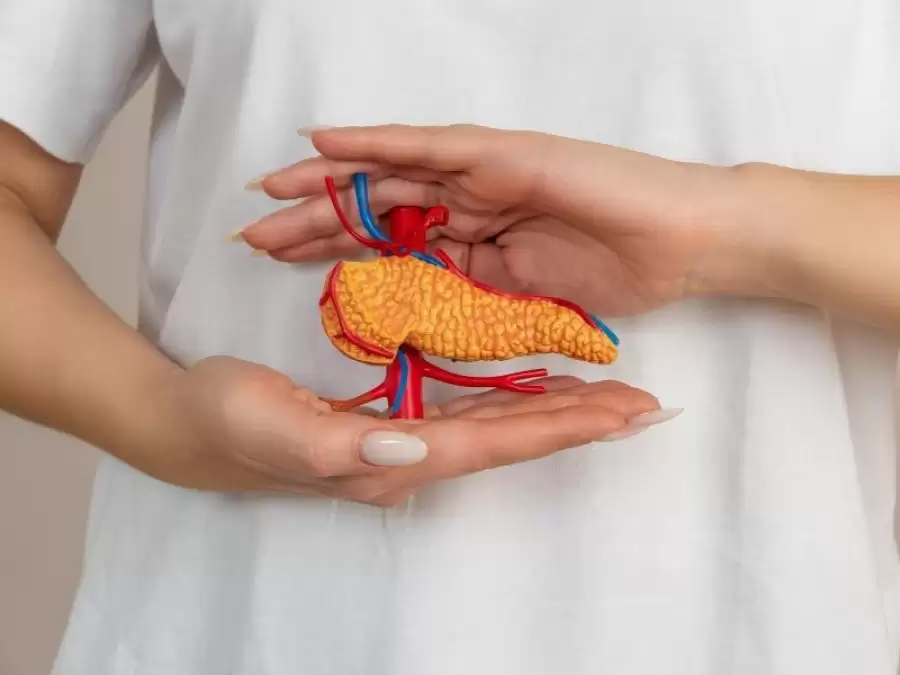 pankreas-hastaliklari