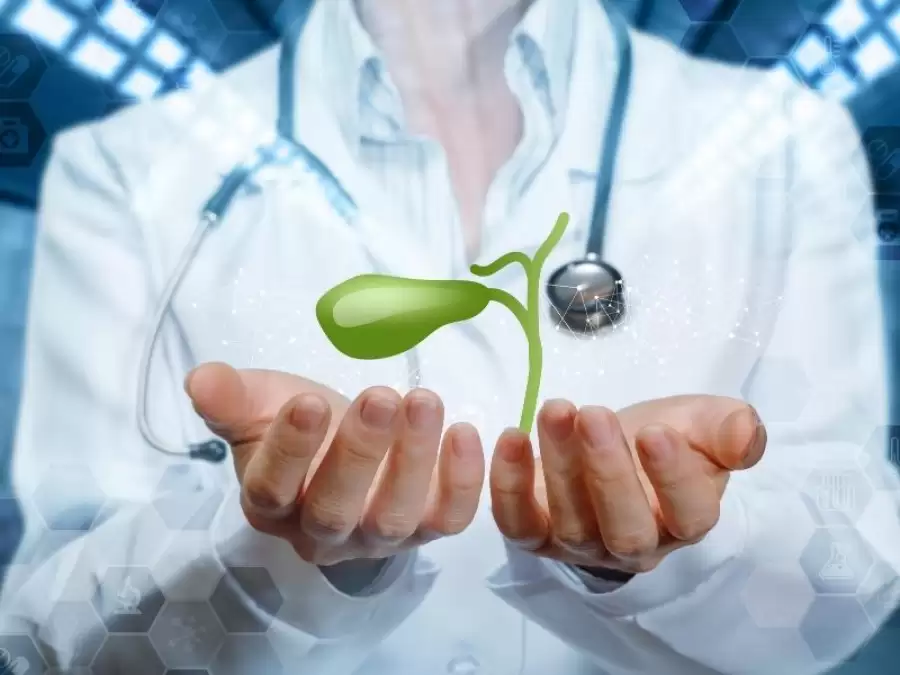 safra-kesesi-ve-safra-yollari